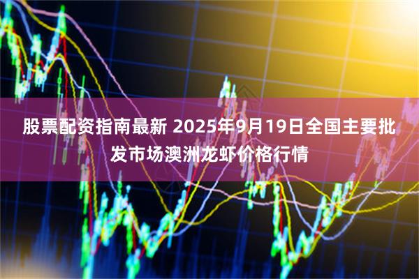 股票配资指南最新 2025年9月19日全国主要批发市场澳洲龙虾价格行情