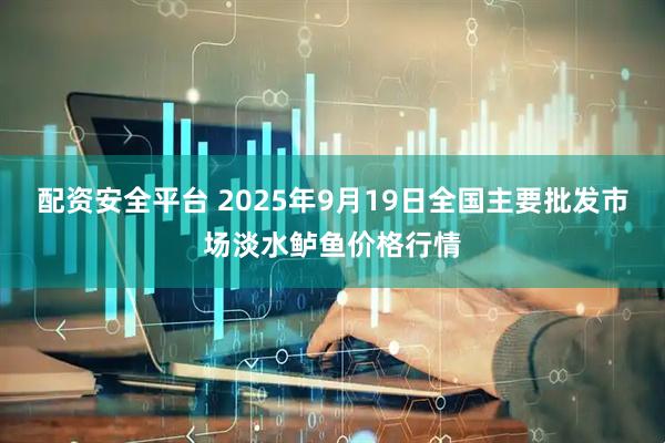 配资安全平台 2025年9月19日全国主要批发市场淡水鲈鱼价格行情