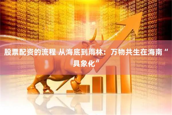 股票配资的流程 从海底到雨林：万物共生在海南“具象化”